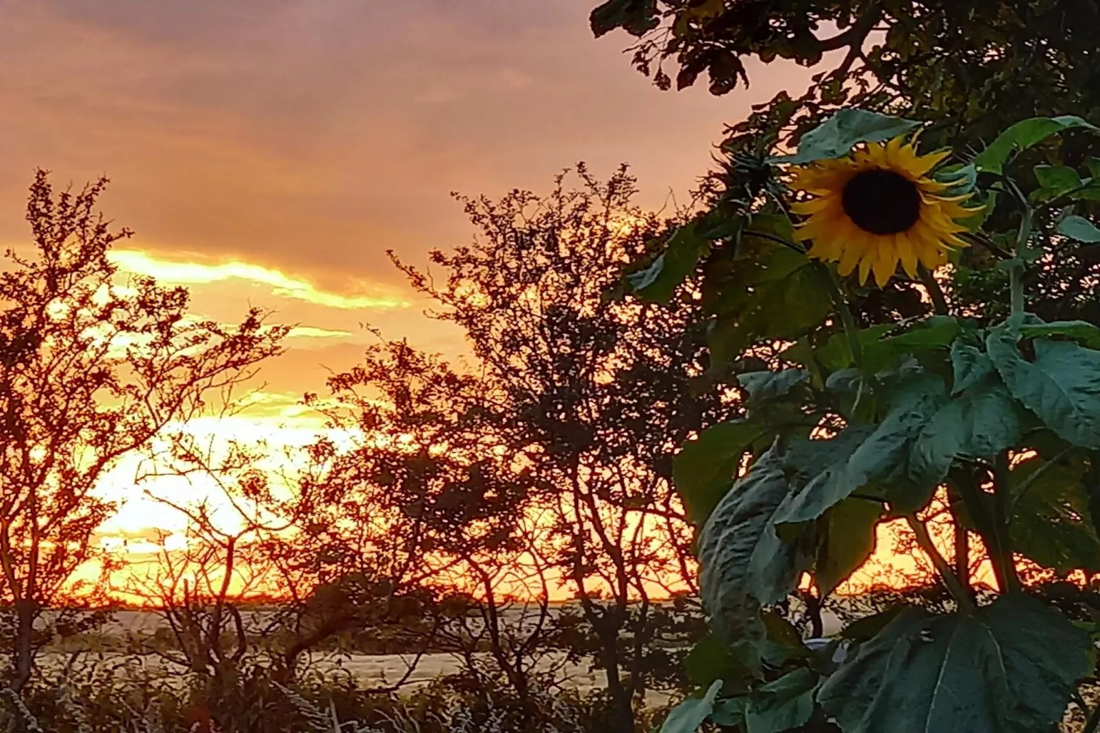 Maison de vacances pour 5 a Højer-By Traum