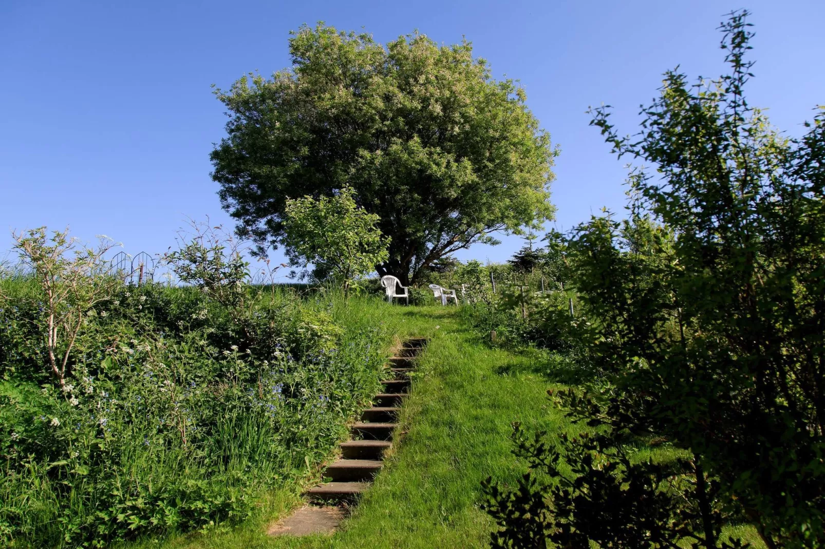 Maison de vacances pour 6 a Knebel-By Traum - Non tagué