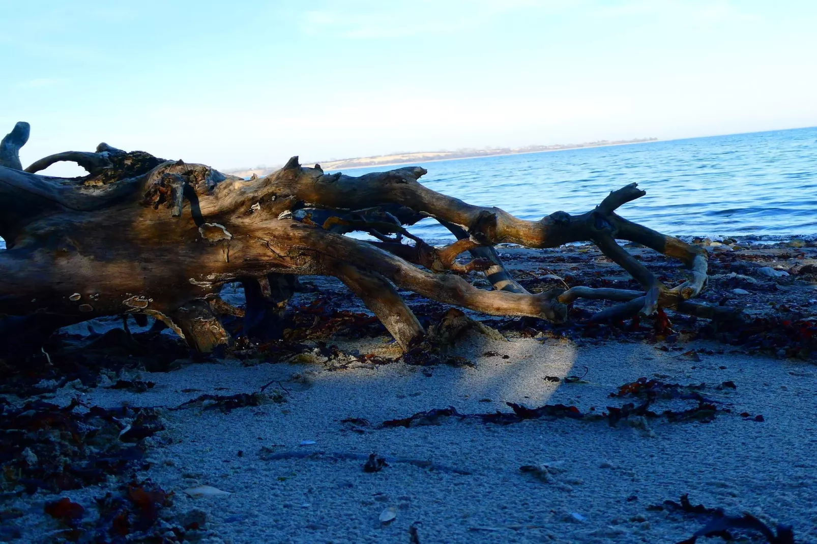 Maison de vacances pour 4 a Haderslev-By Traum