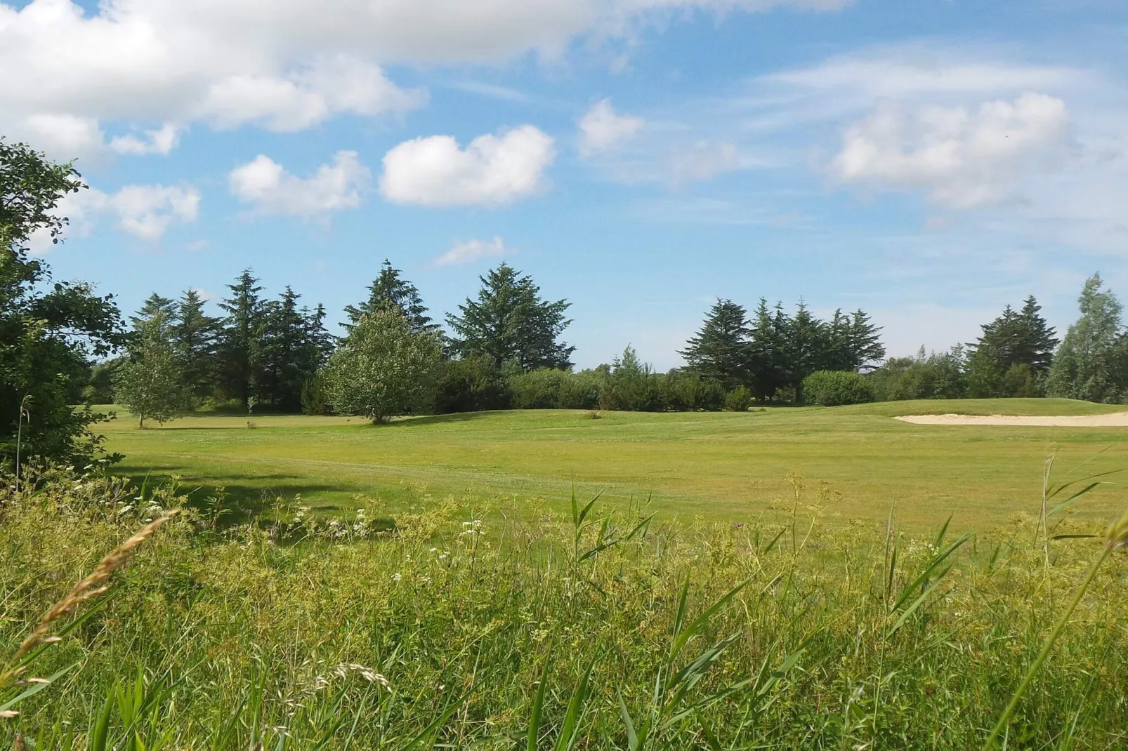 Maison rustique avec cheminée