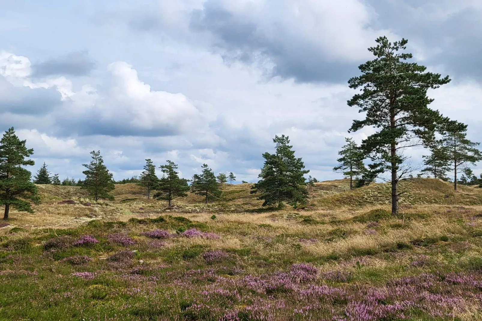 8 Personen Ferienhaus in Fjerritslev-By Traum