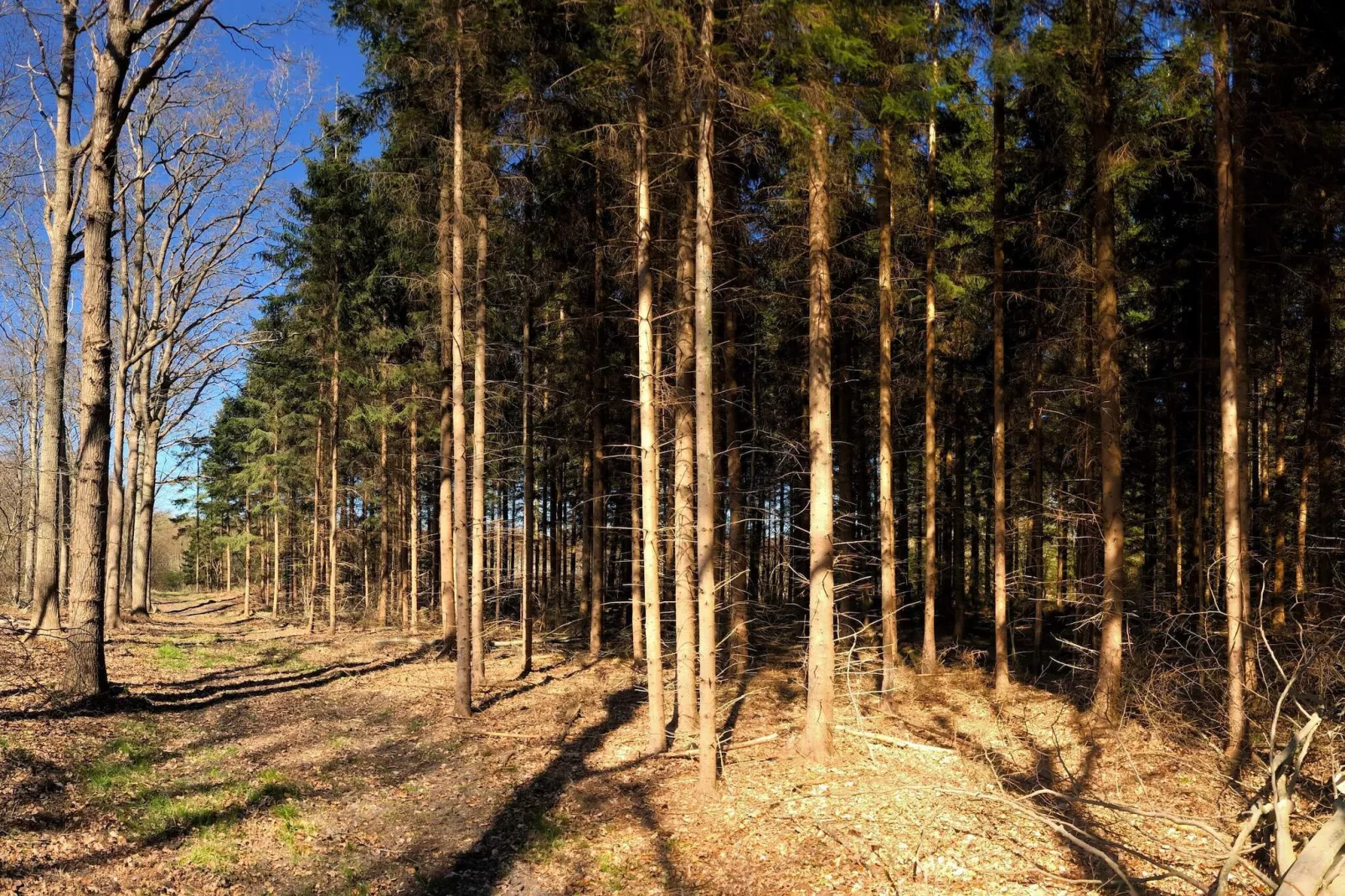 6 person holiday home in Karrebæksminde-By Traum