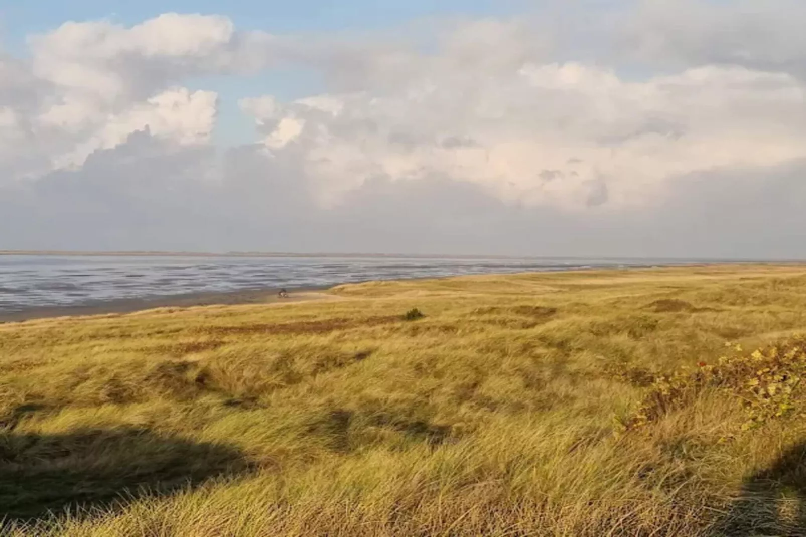 5 Personen Ferienhaus in Rømø-By Traum-Nicht zugeordnet