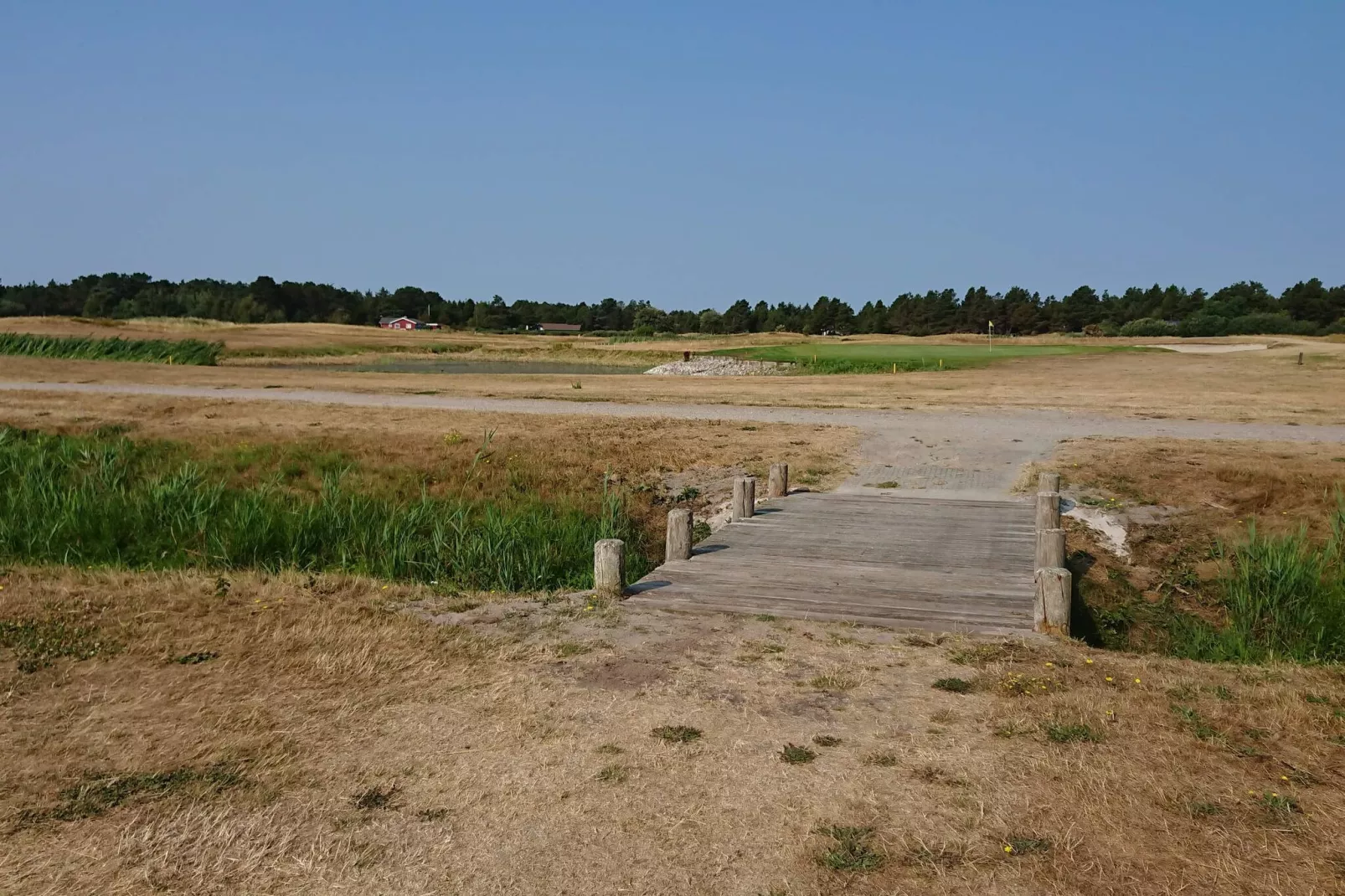 Pet-friendly Rømø Getaway Apartment-Untagged