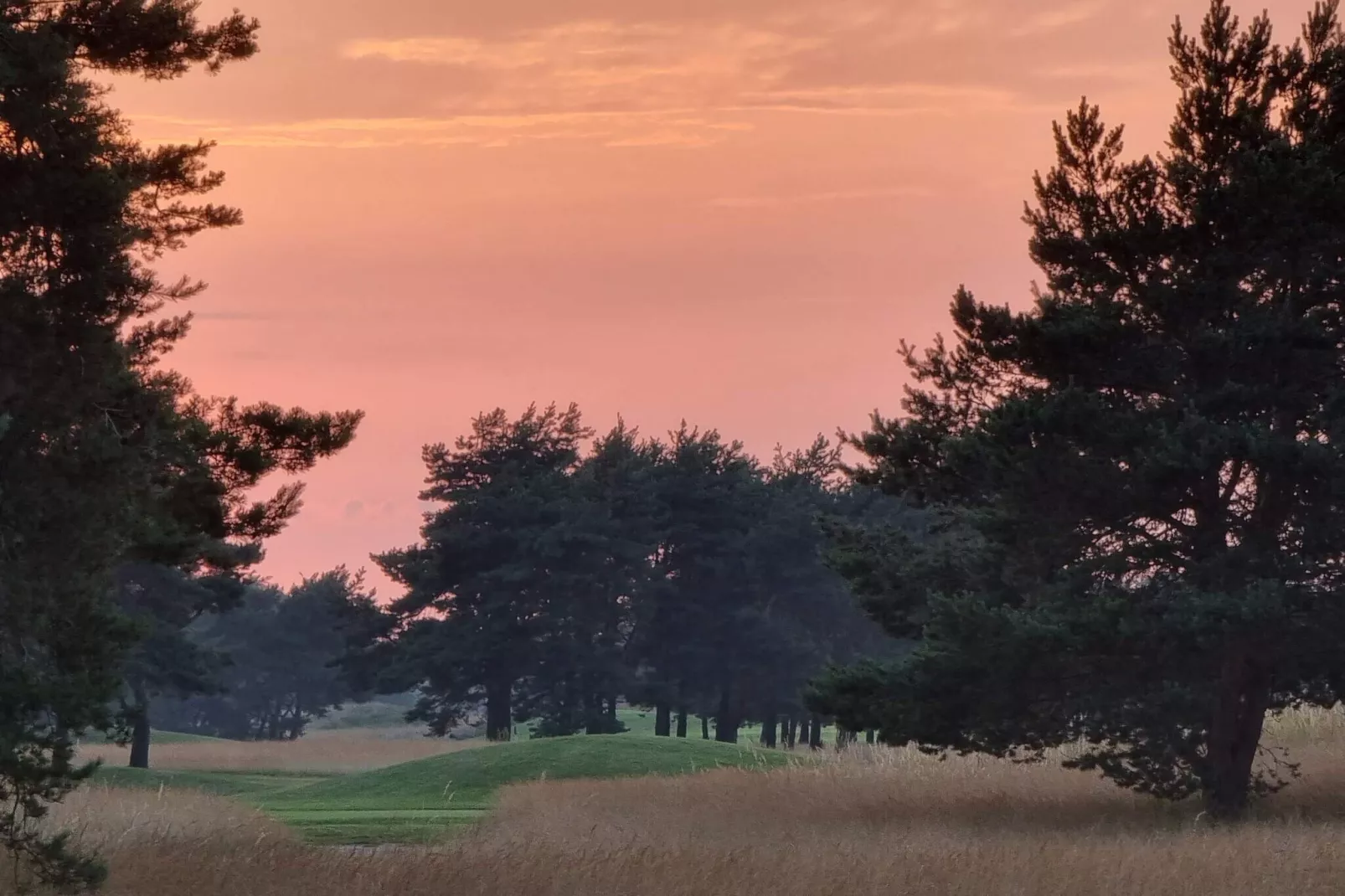 6 person holiday home in DEGEBERGA-By Traum-Untagged