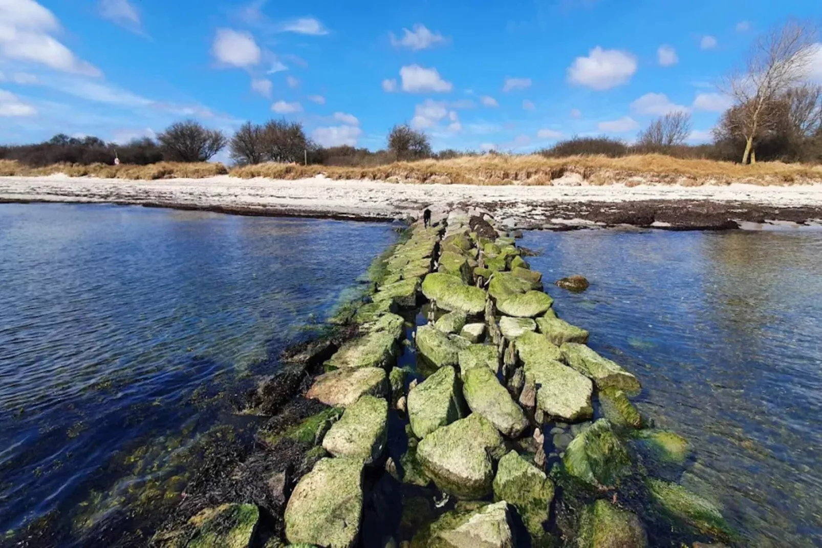 Maison de vacances pour 8 a Idestrup-By Traum-Vue sur l'eau
