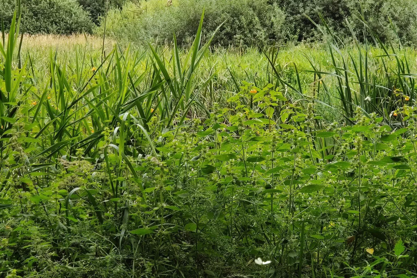 10 person holiday home in Fårvang-By Traum-Untagged