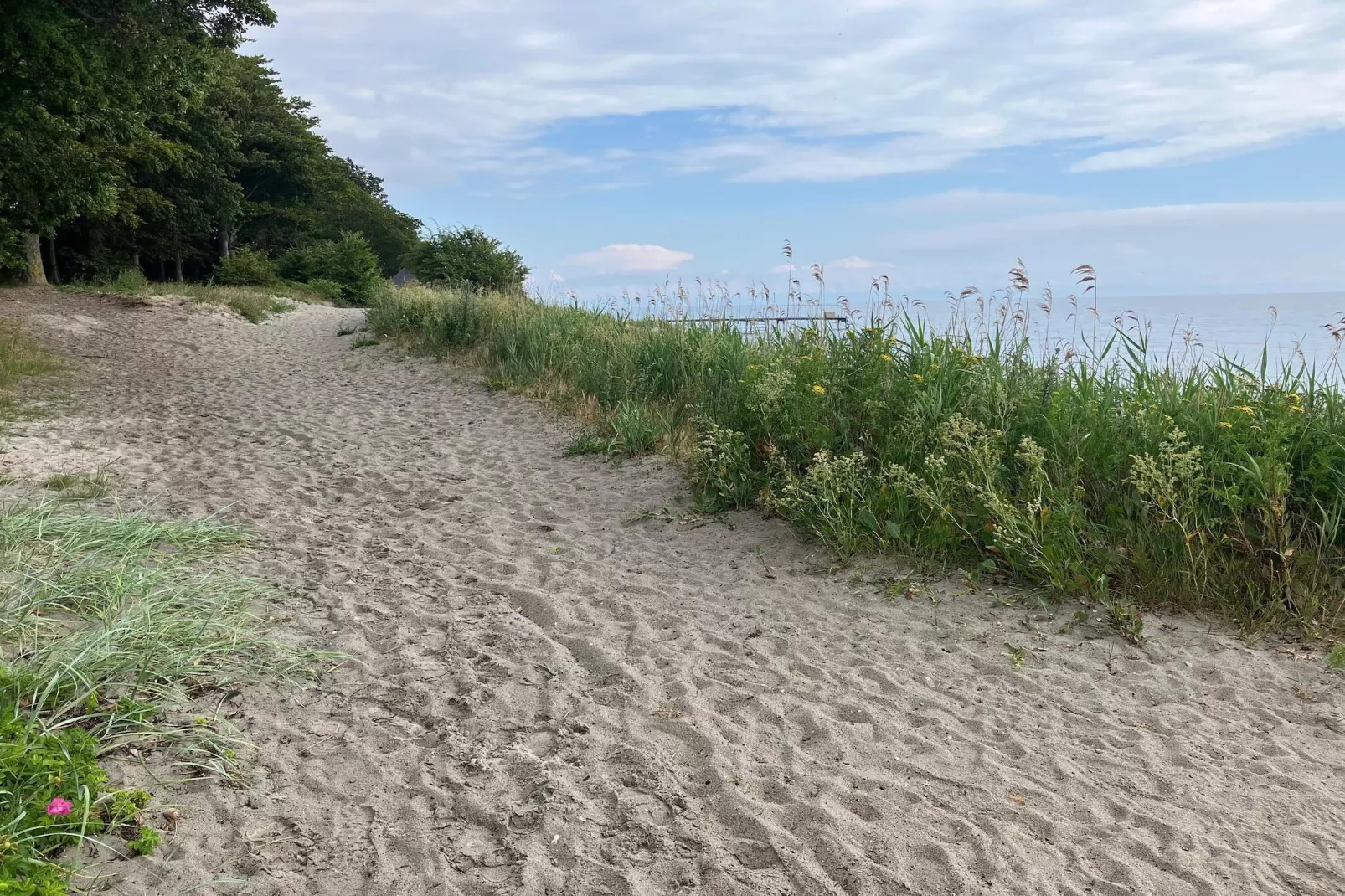 8 Personen Ferienhaus in Nysted