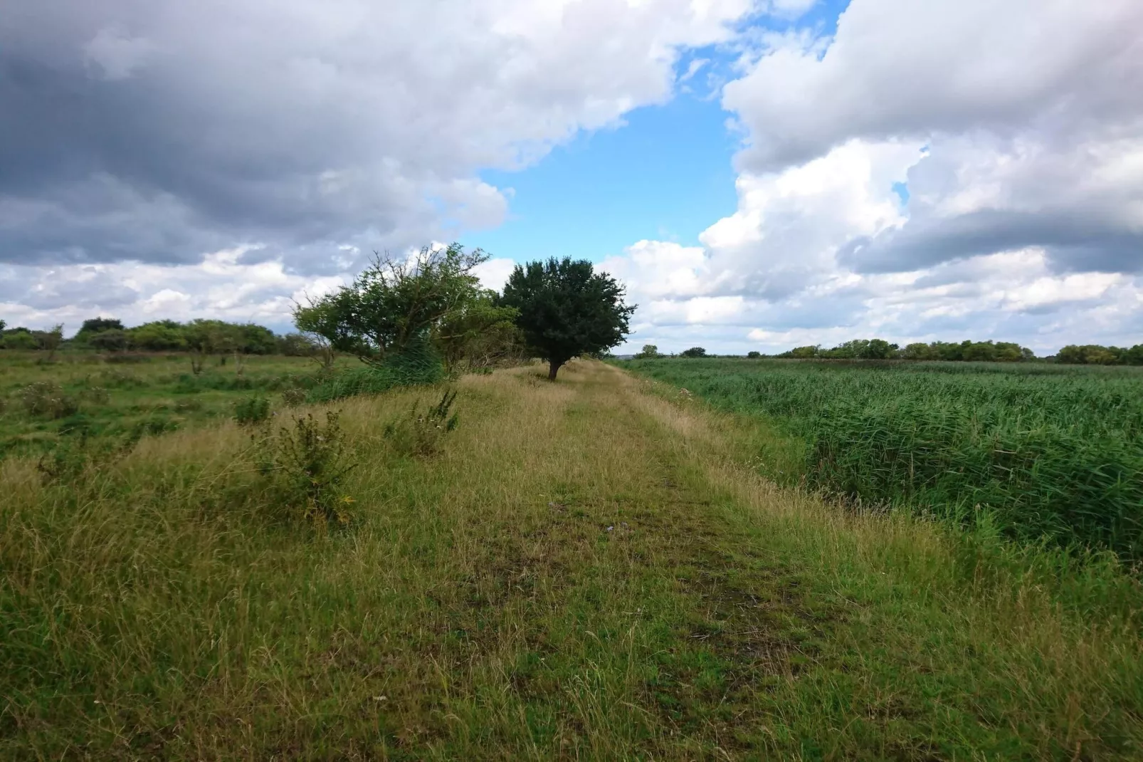 Maison de vacances pour 7 a Stege-By Traum-Non tagué