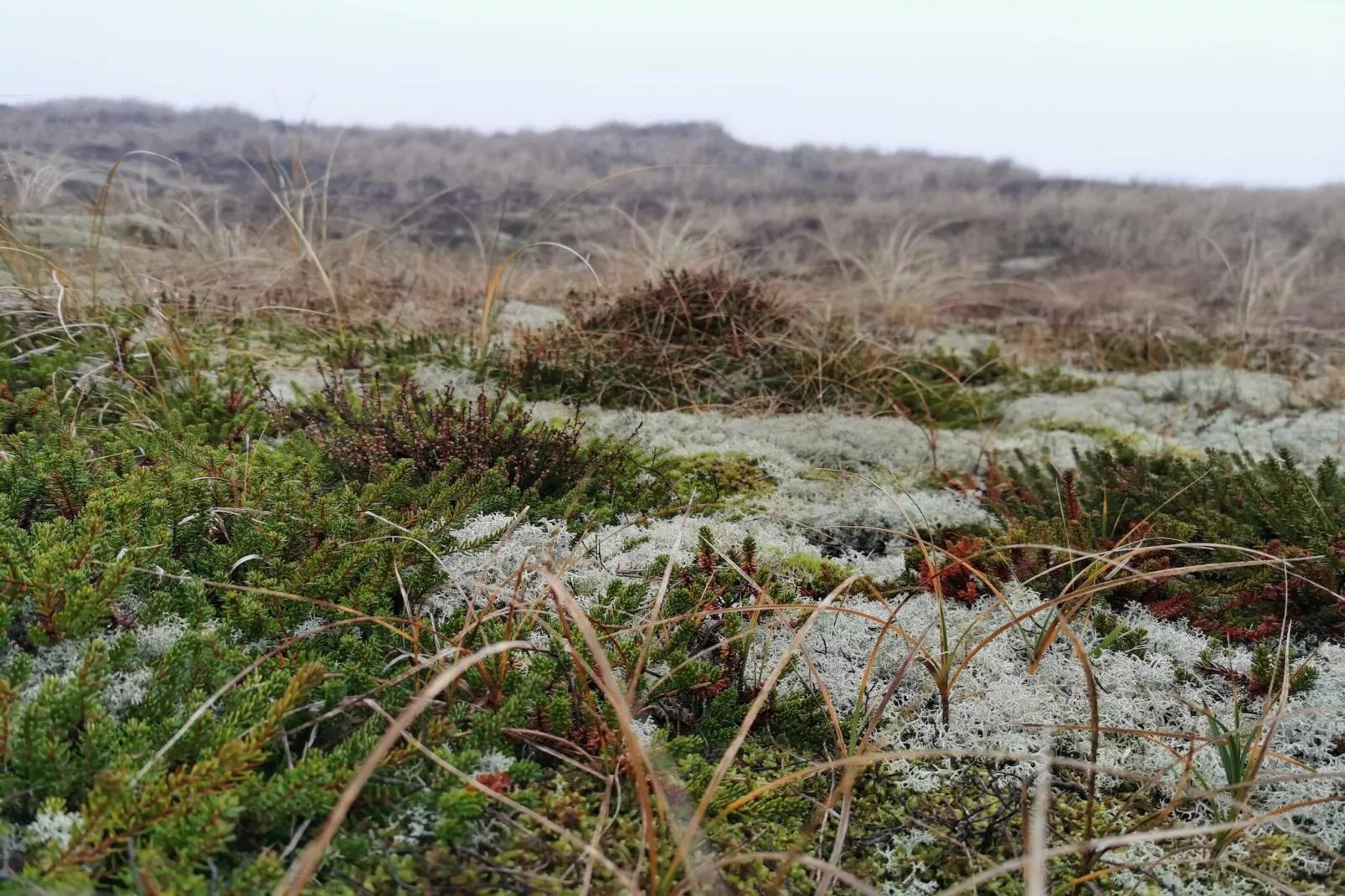 Maison de vacances pour 6 a Ringkøbing-By Traum