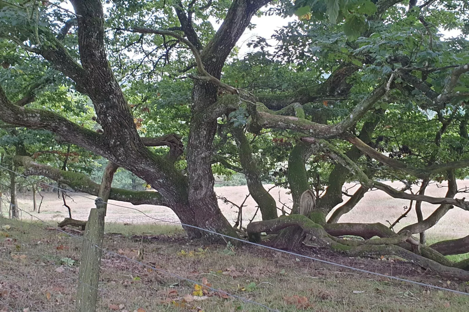 6 person holiday home in Silkeborg-By Traum