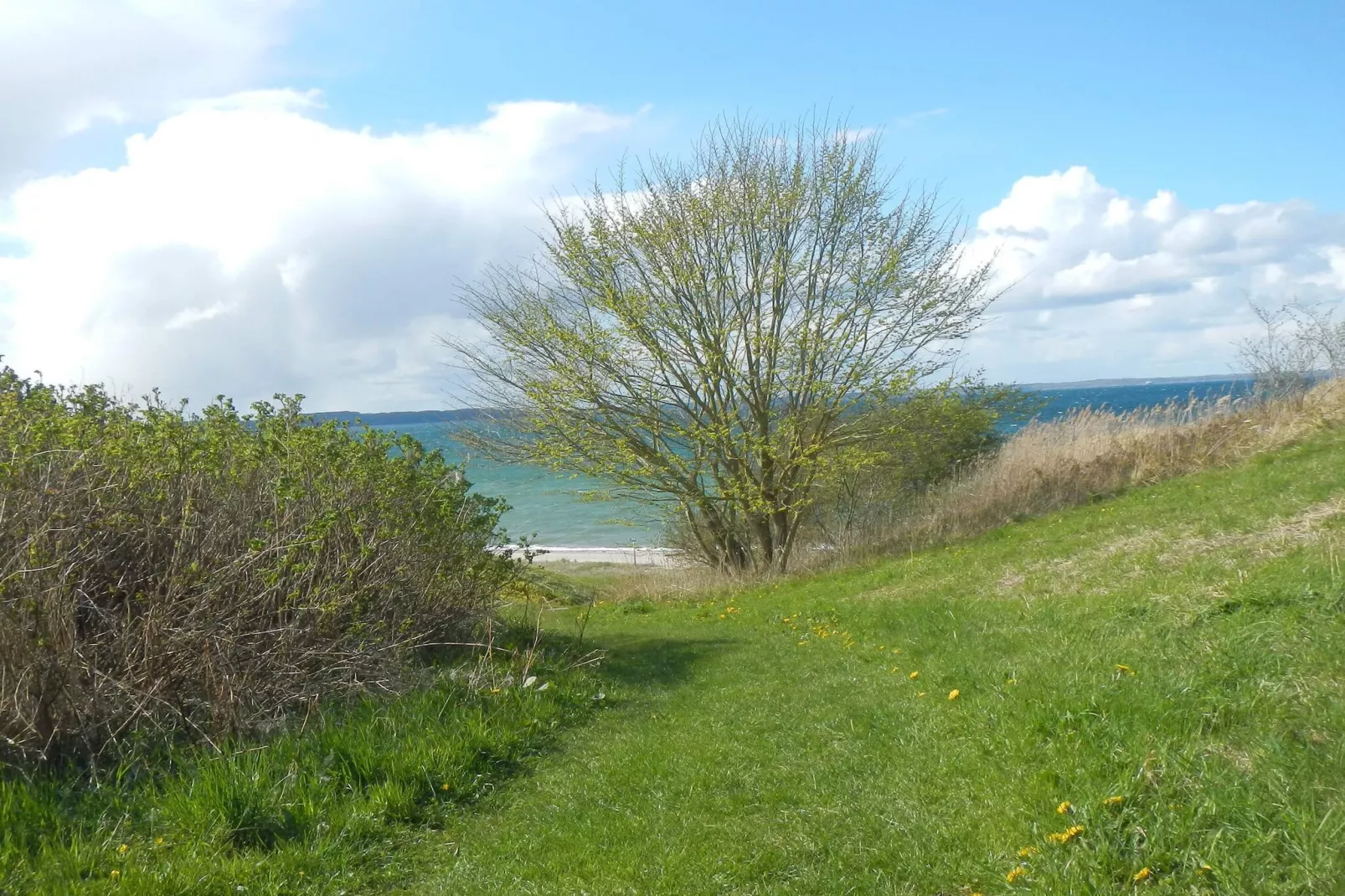 Seaside Charm in Baring - By Traum Ferienwohnungen-Untagged