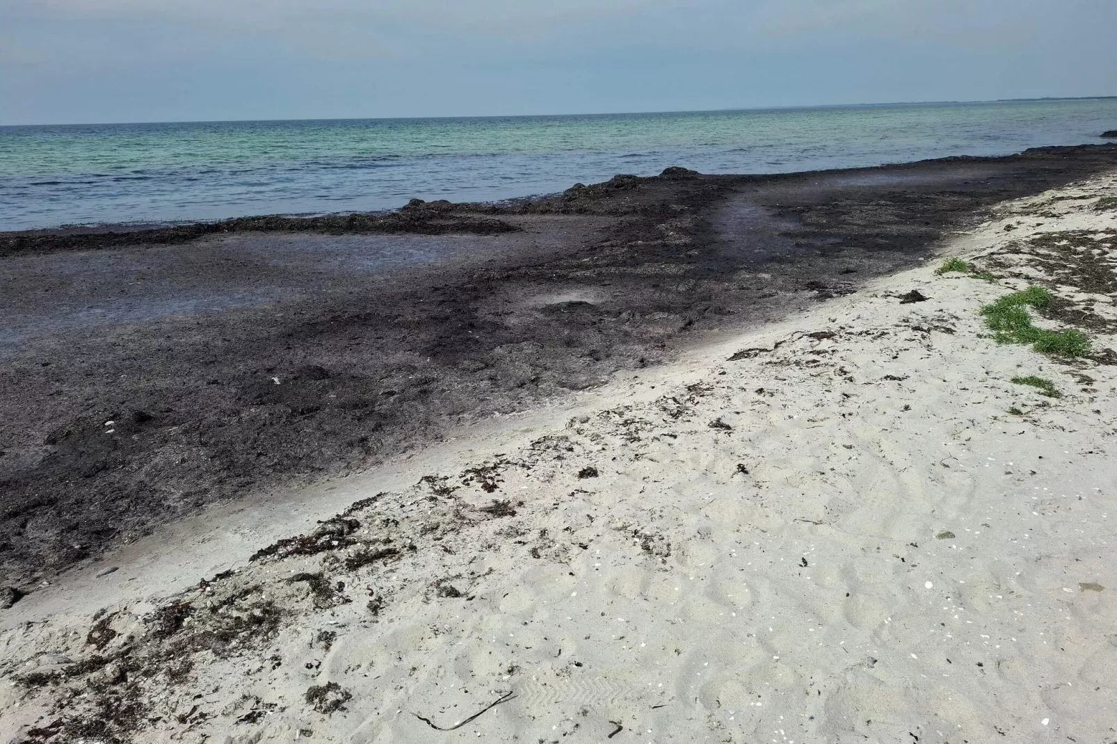 10 person holiday home in Rødby-By Traum-Water view