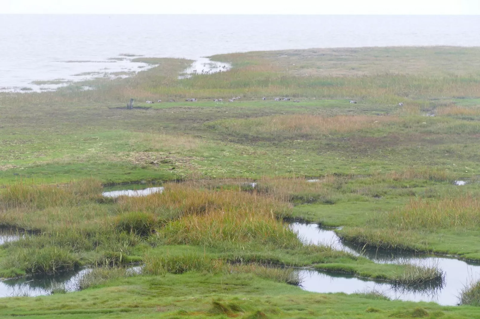 Retraite avec vue sur le golf -- By Traum Ferienwohnungen-Vue sur l'eau