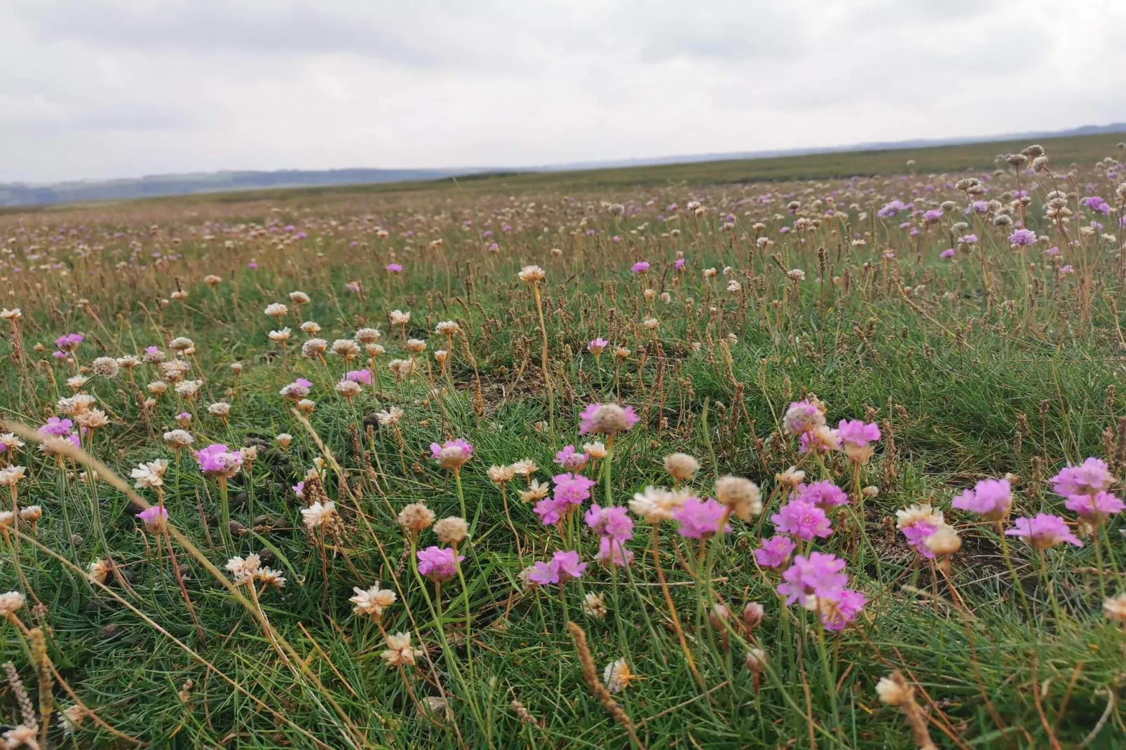 Maison de vacances pour 8 a Lemvig-By Traum-Non tagué