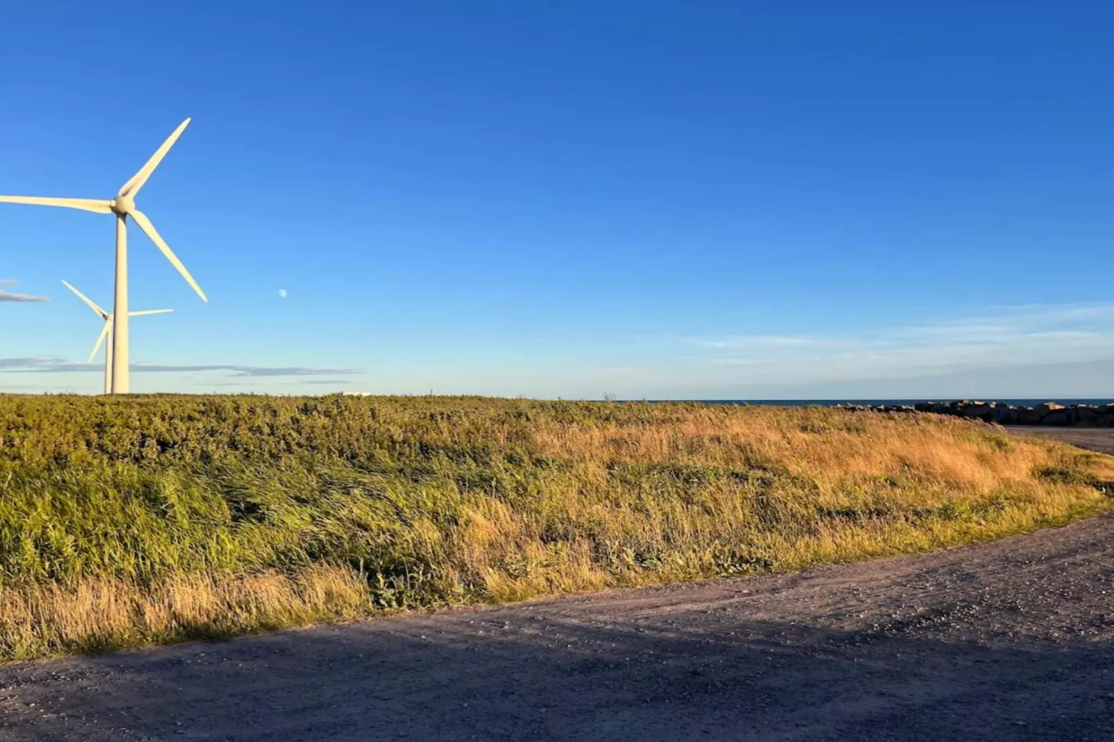 Maison de vacances pour 2 a FALKENBERG-By Traum-Non tagué
