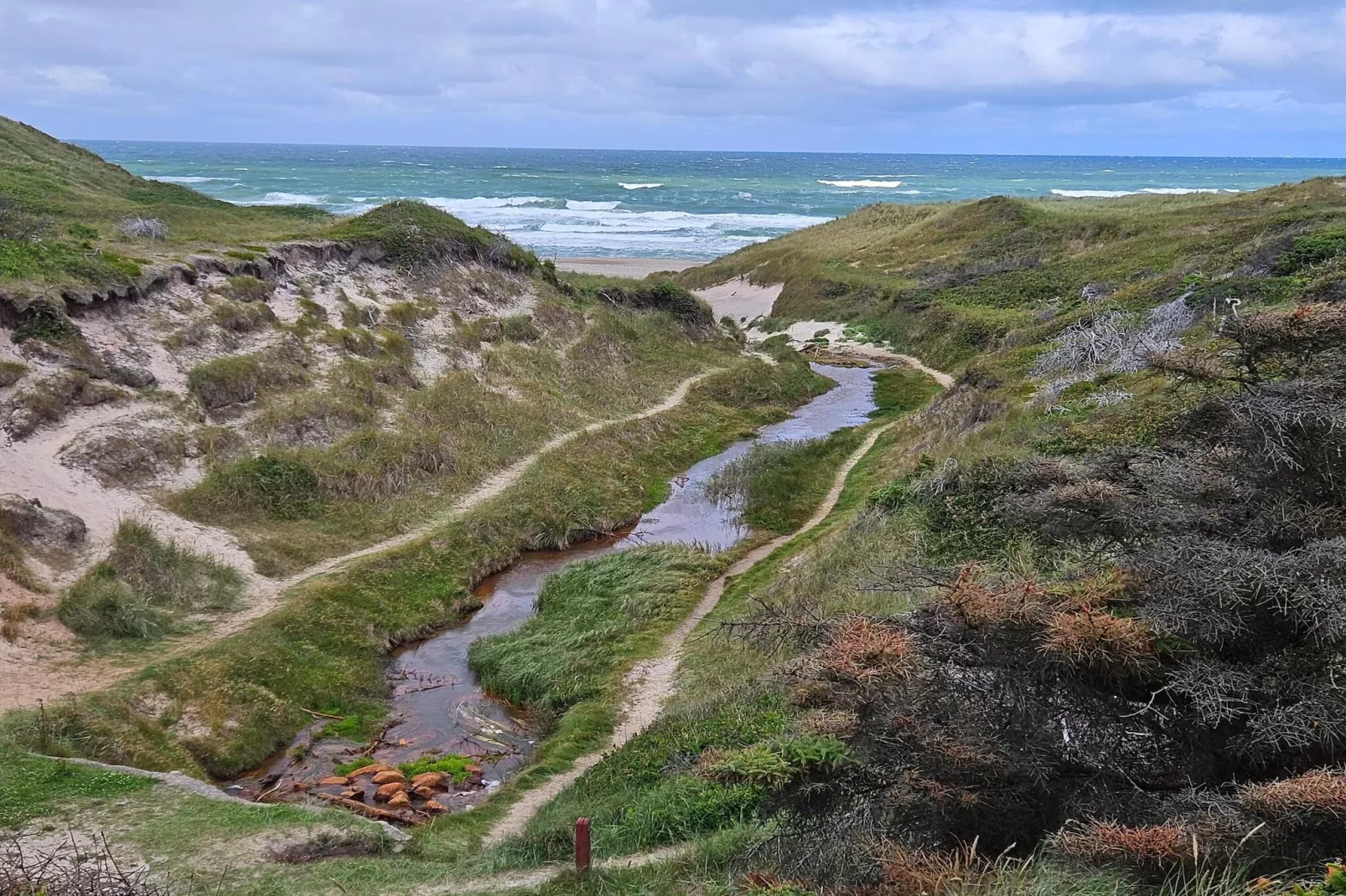 Gemutliche Oase in Vorupor -- By Traum Ferienwohnungen-Nicht zugeordnet