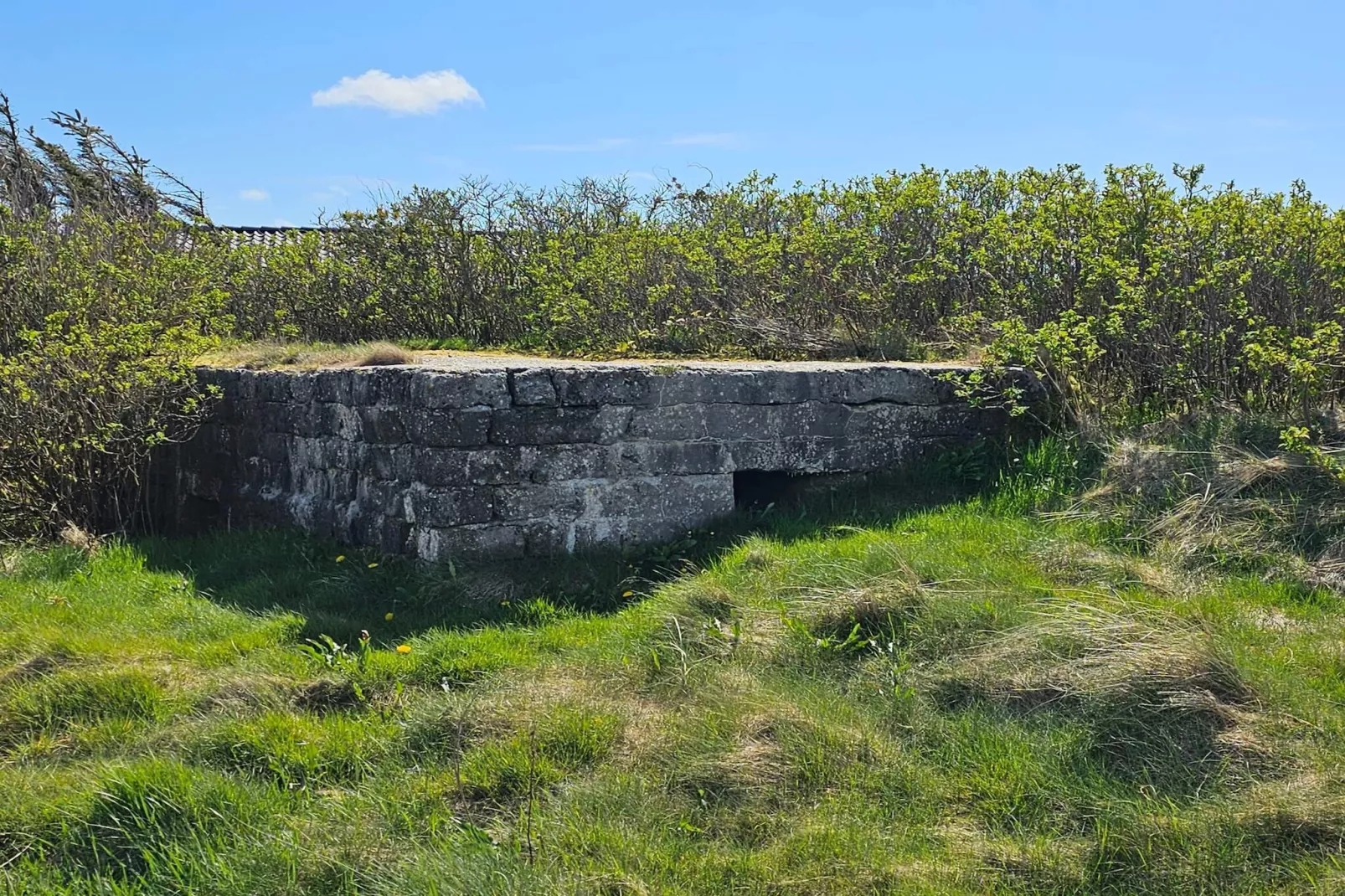 10 Personen Ferienhaus in Harboøre-By Traum-Nicht zugeordnet