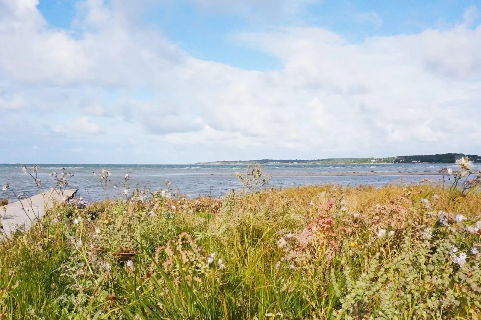 4 person holiday home in VARBERG-By Traum-Water view