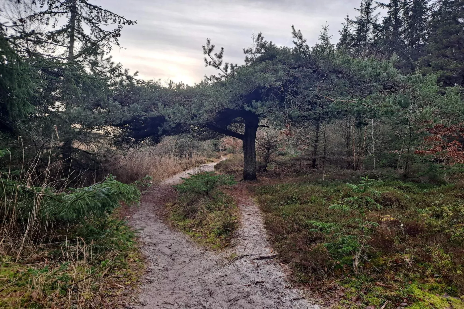 12 person holiday home in Hals-By Traum-Untagged