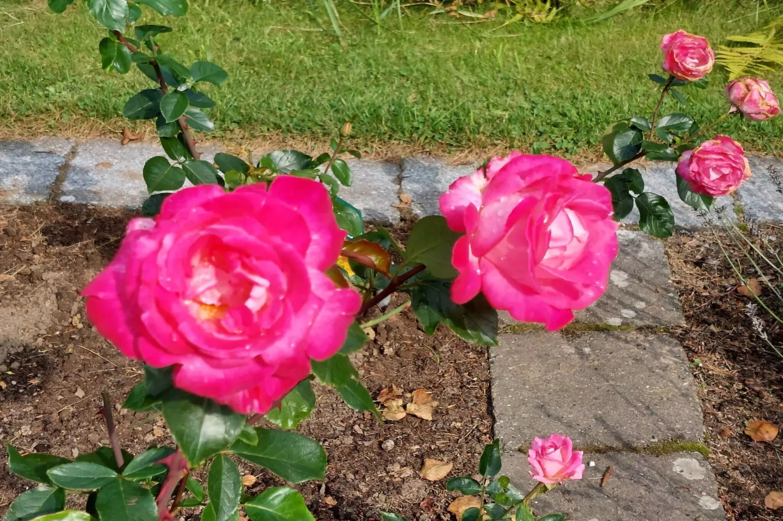 8 person holiday home in Sæby-By Traum