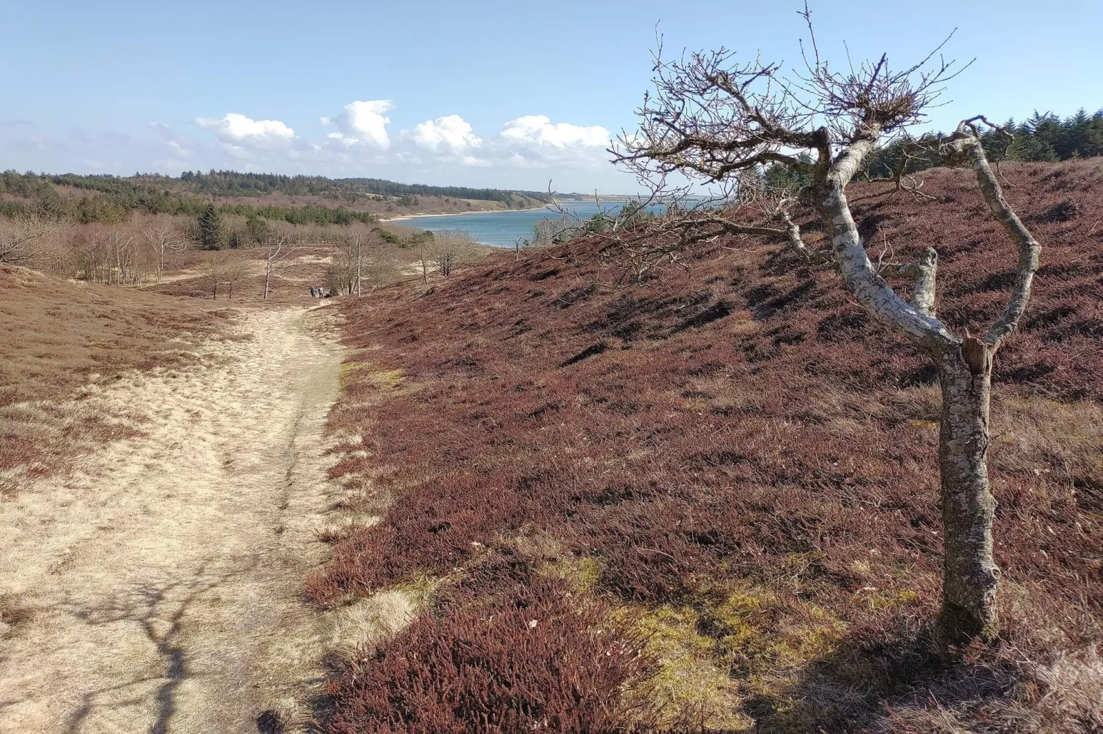 Scenic Retreat in Boddum - By Traum Ferienwohnungen-Untagged