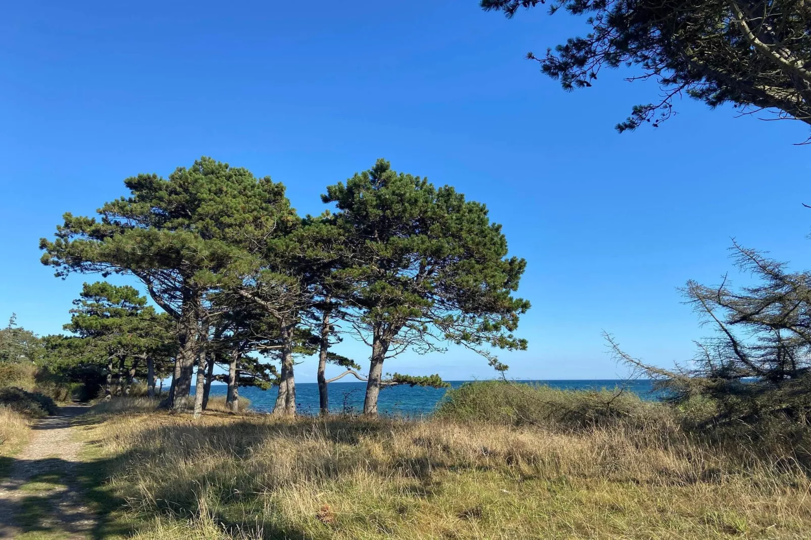Évasion en bord de mer a Helgenaes -- By Traum Ferienwohnungen
