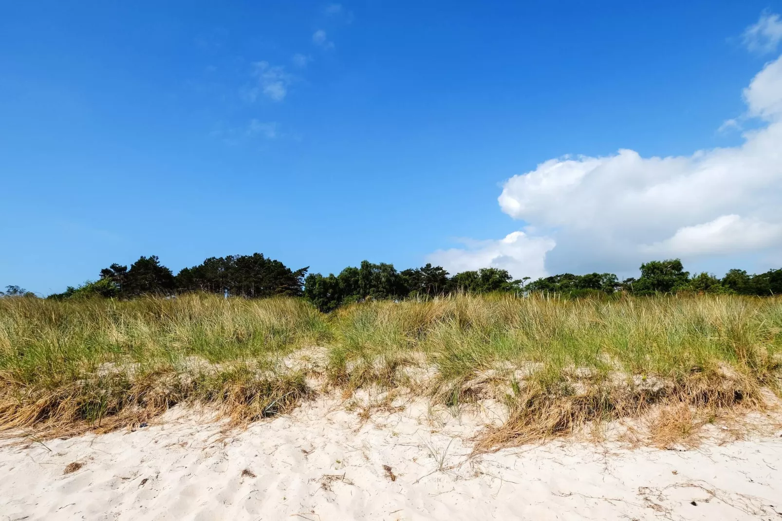 10 person holiday home in Væggerløse-By Traum