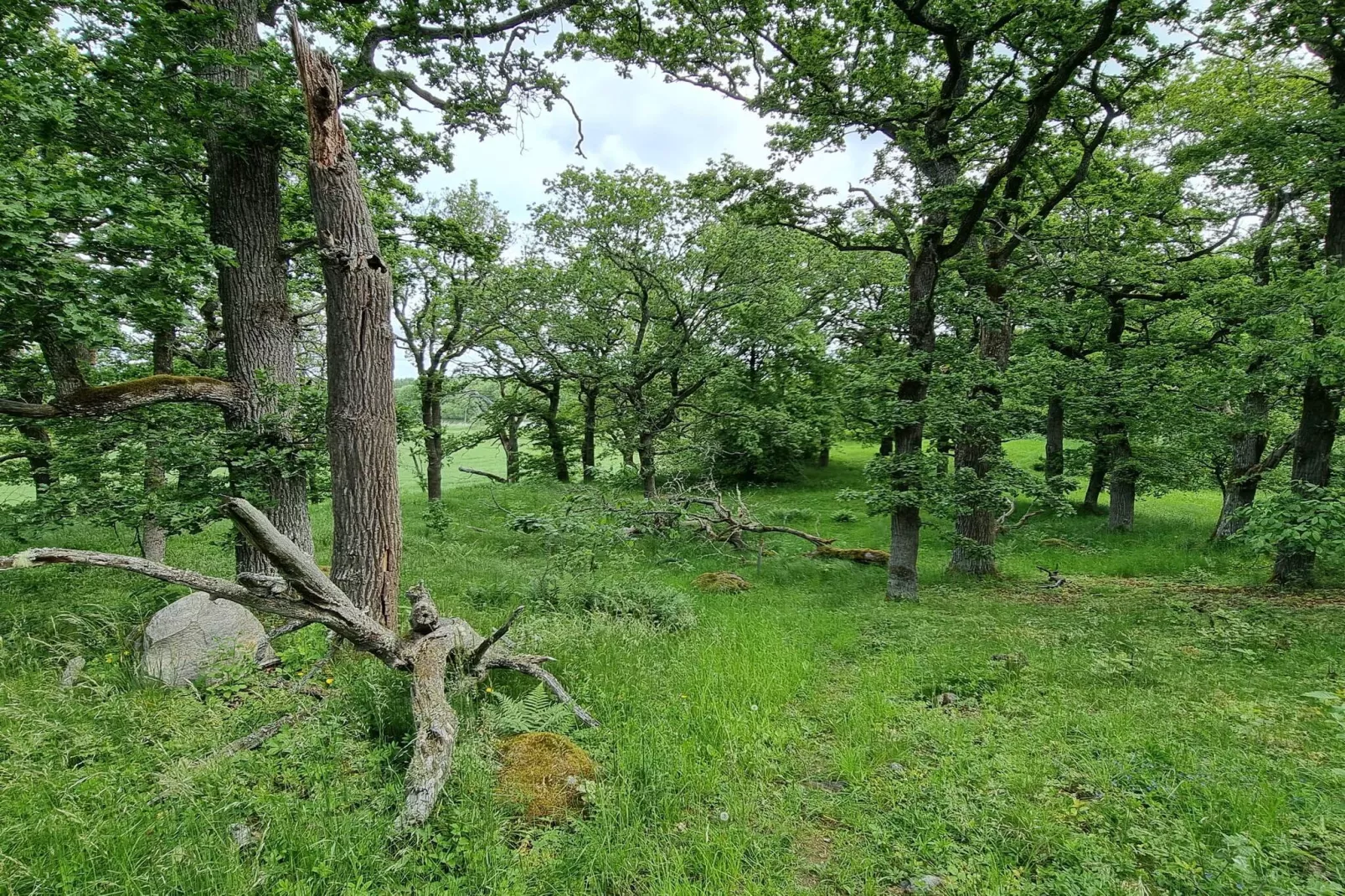 4 Personen Ferienhaus in TORSHÄLLA-By Traum-Nicht zugeordnet