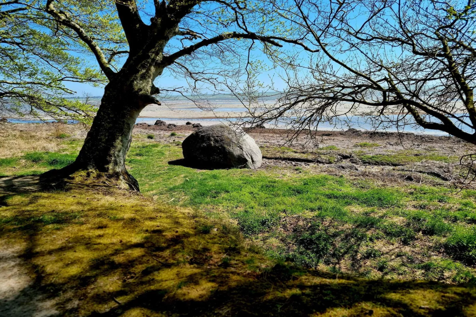 4 Personen Ferienhaus in Faxe Ladeplads-By Traum-Nicht zugeordnet