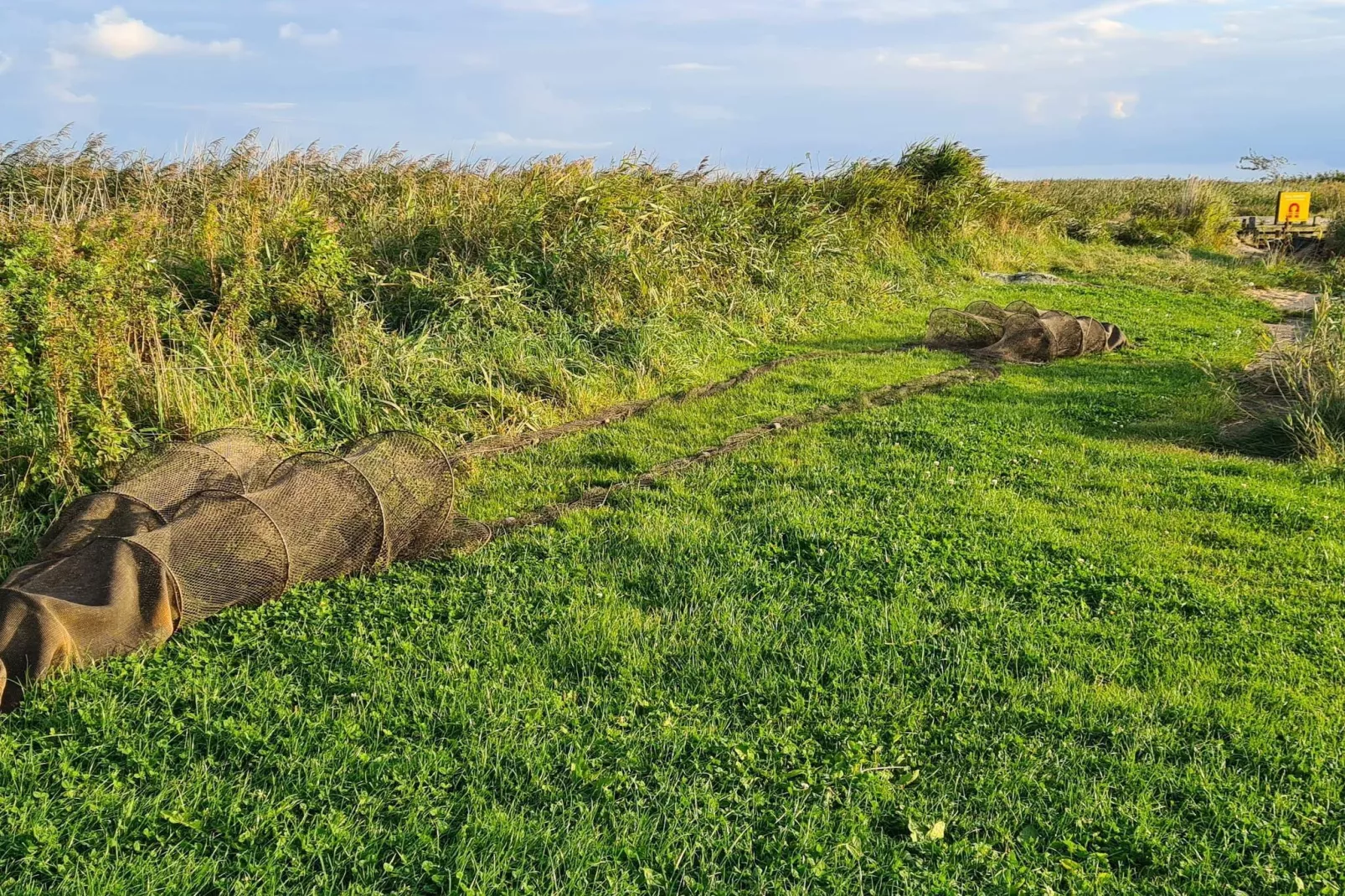 6 person holiday home in Ulfborg-By Traum-Untagged