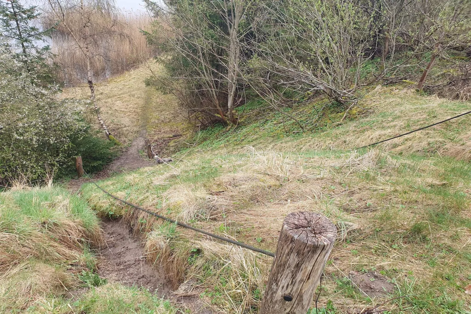 Maison de vacances pour 6 a Pandrup