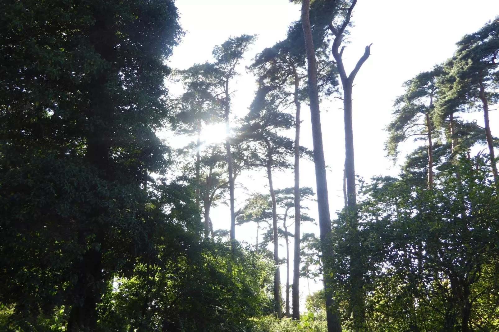 8 Personen Ferienhaus in Bogense-By Traum