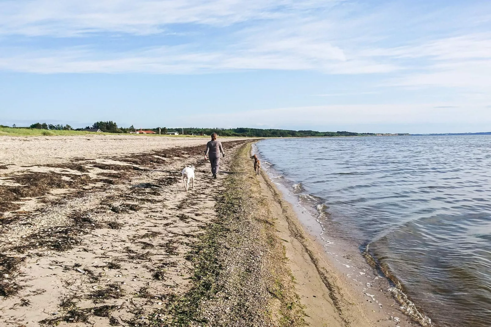 Maison de vacances pour 12 a Løgstør-By Traum-Vue sur l'eau