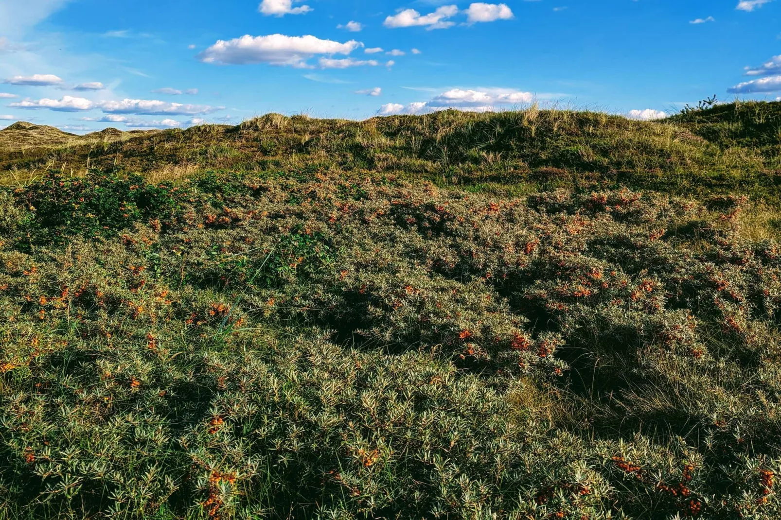 Maison de vacances pour 6 a Nørre Nebel-By Traum-Non tagué