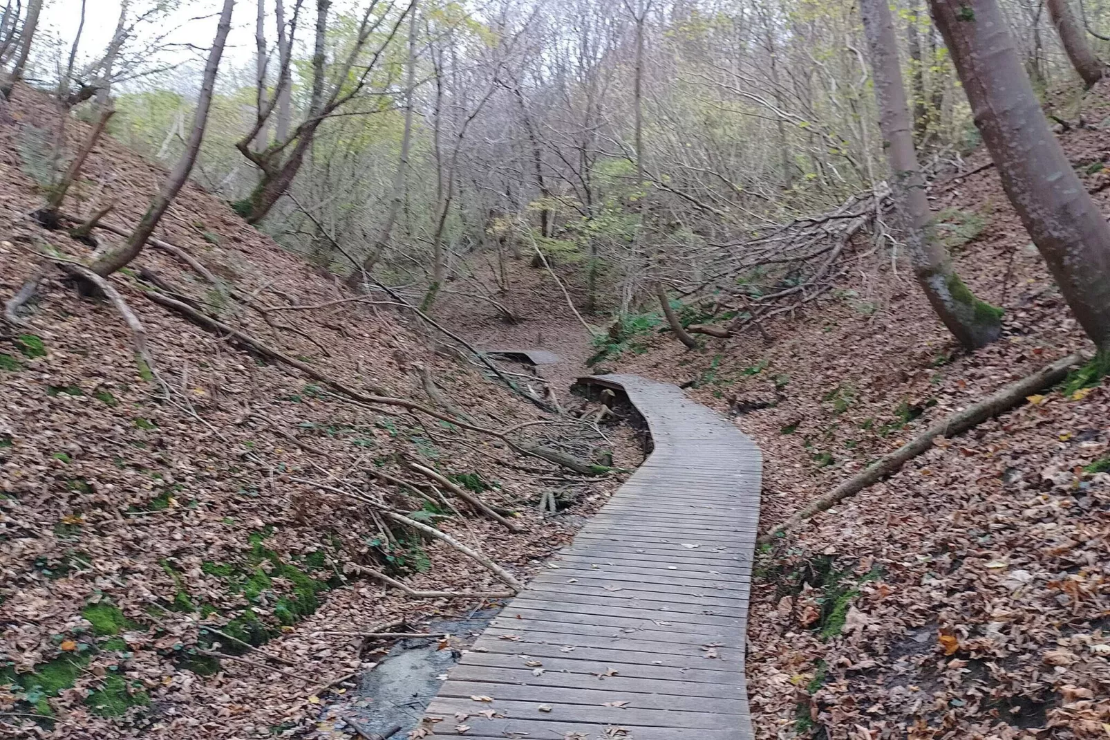 8 person holiday home in Brovst-By Traum-Untagged