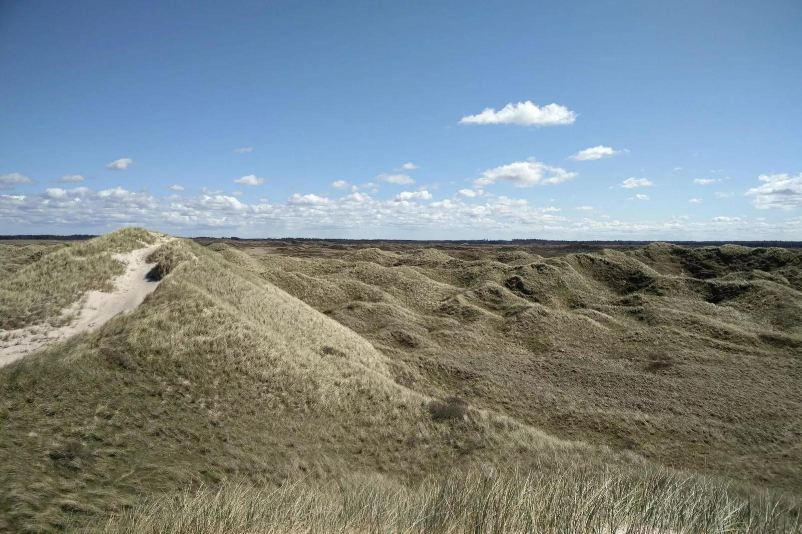 8 person holiday home in Pandrup-By Traum-Untagged