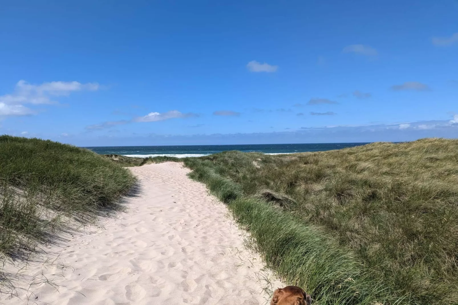 7 person holiday home in Hurup Thy-By Traum-Untagged