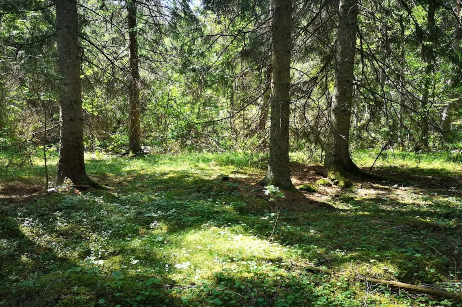 7 Personen Ferienhaus in BRUZAHOLM-By Traum-Nicht zugeordnet