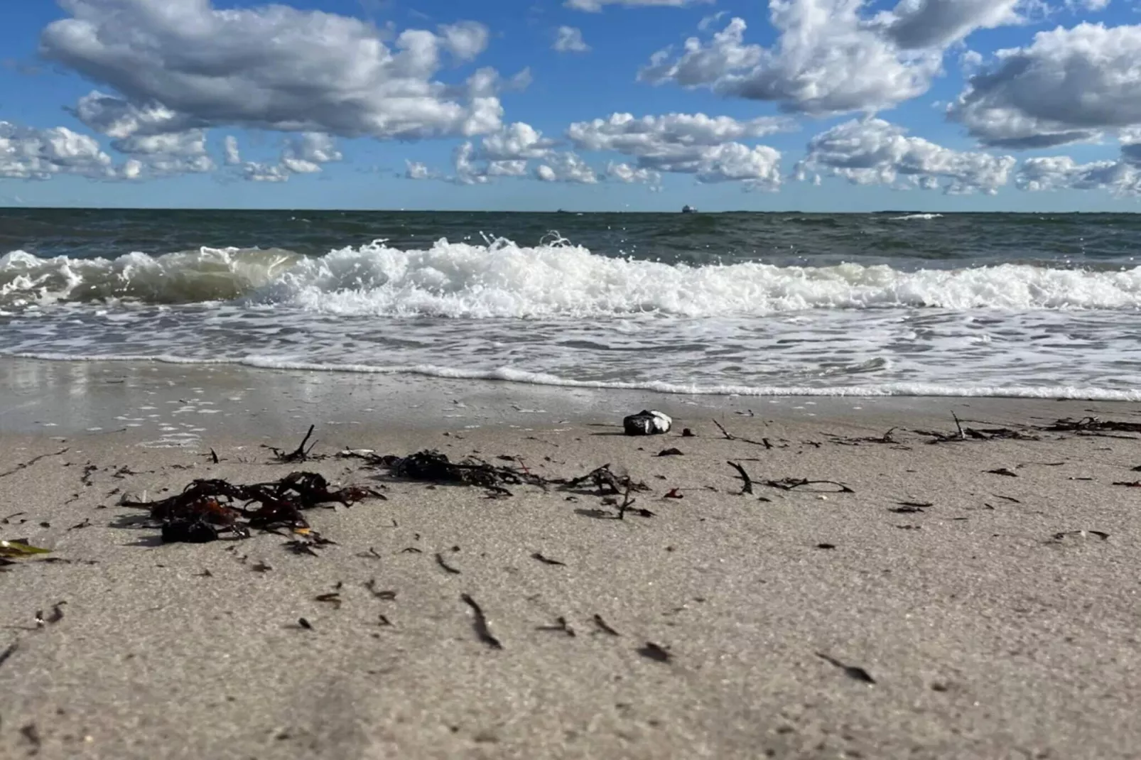 8 Personen Ferienhaus in Otterup-By Traum-Wasserblick