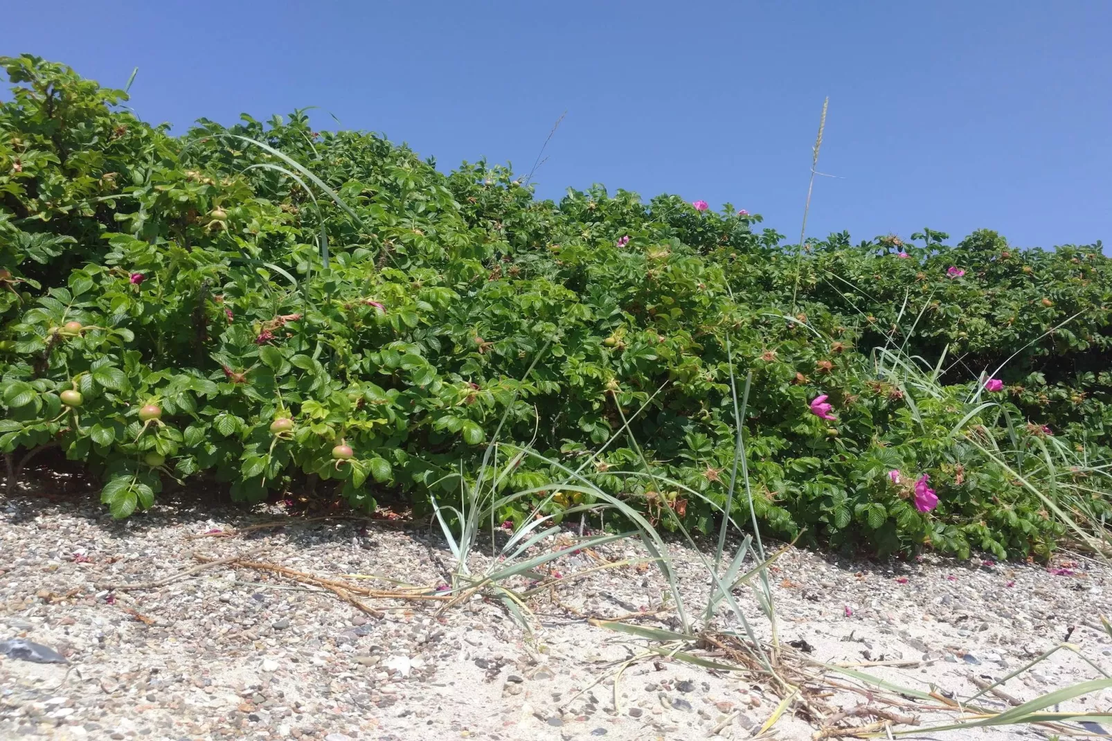 Luxury Retreat with Sea View - By Traum Ferienwohnungen-Untagged