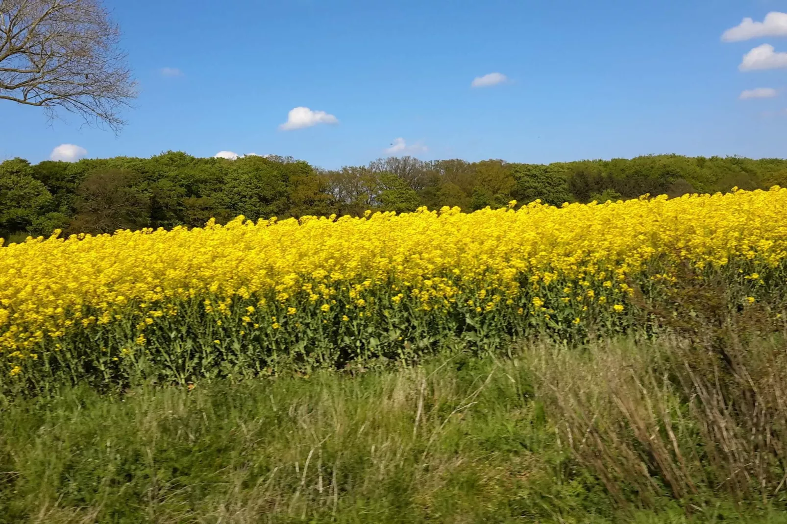 7 person holiday home in Svendborg-By Traum-Untagged