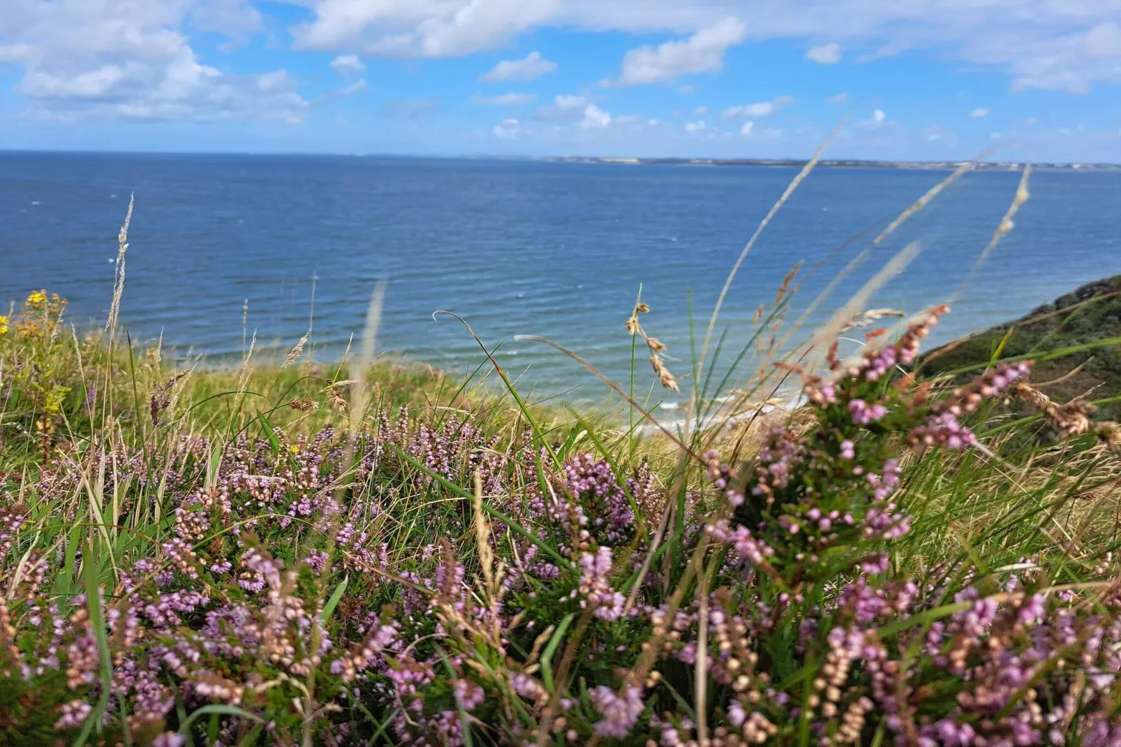 Maison de vacances pour 8 a Struer-By Traum-Vue sur l'eau