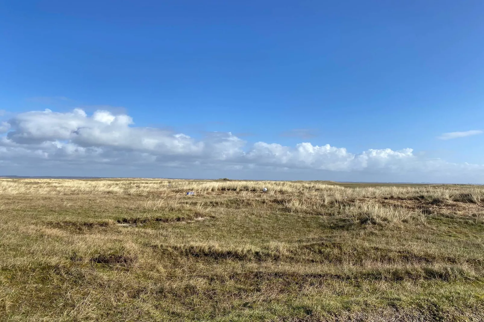 6 person holiday home in Vejers Strand-Untagged