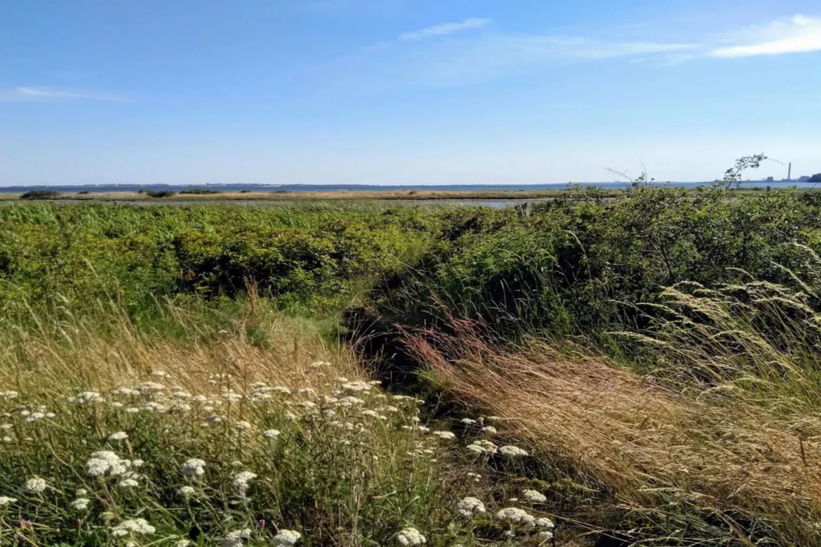 8 Personen Ferienhaus in Rønde-By Traum