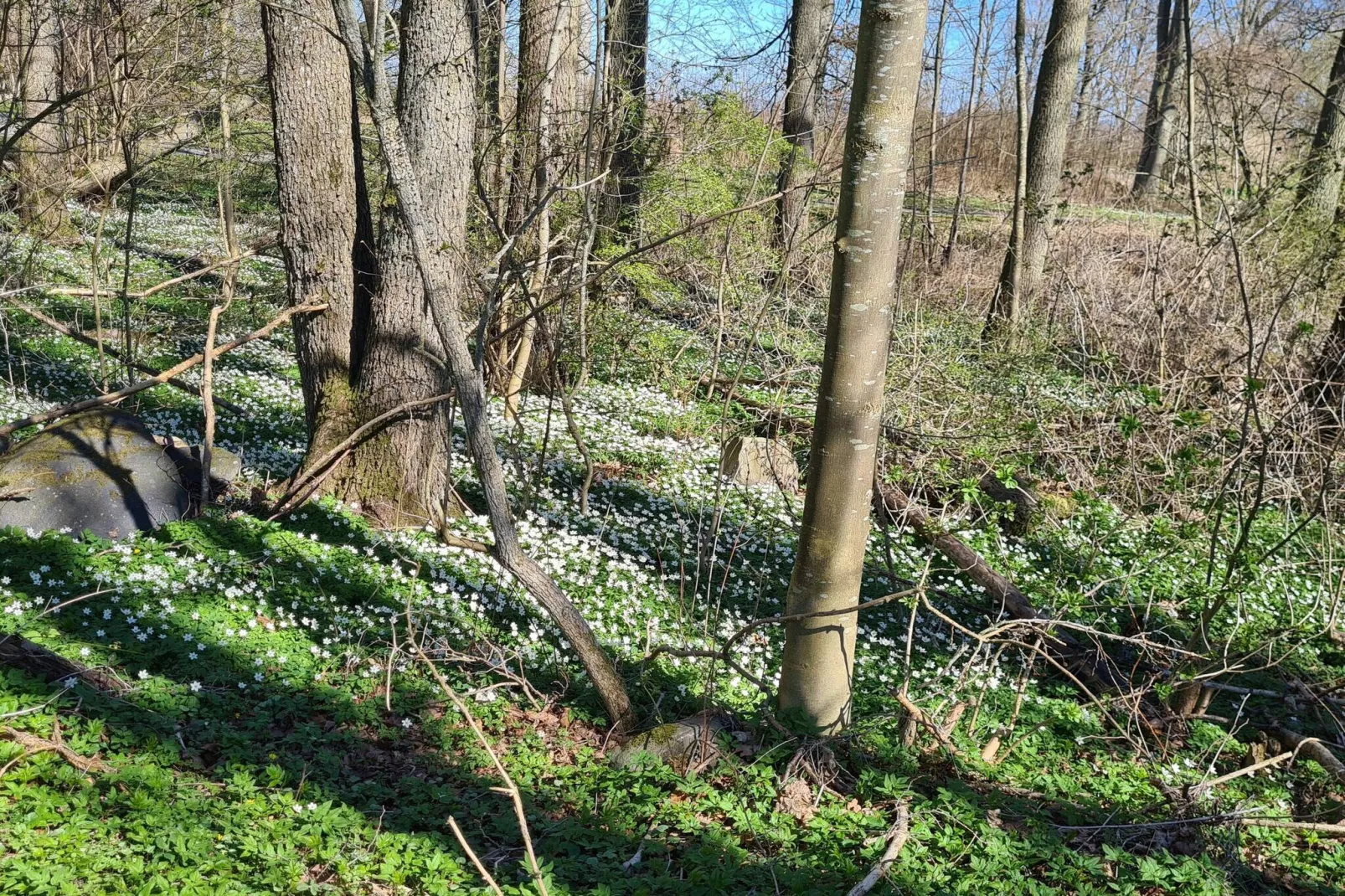 4 person holiday home in EVERÖD-By Traum-Untagged