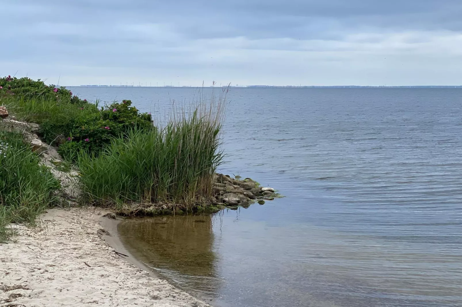 6 Personen Ferienhaus in Hvide Sande-By Traum