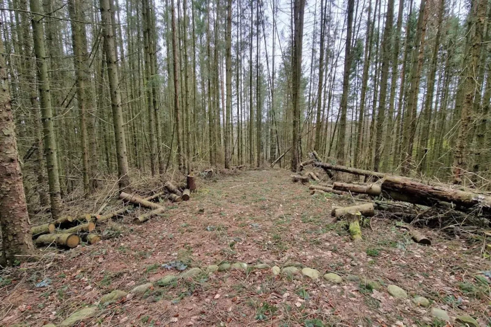 Maison de vacances pour 5 a Silkeborg-By Traum-Non tagué