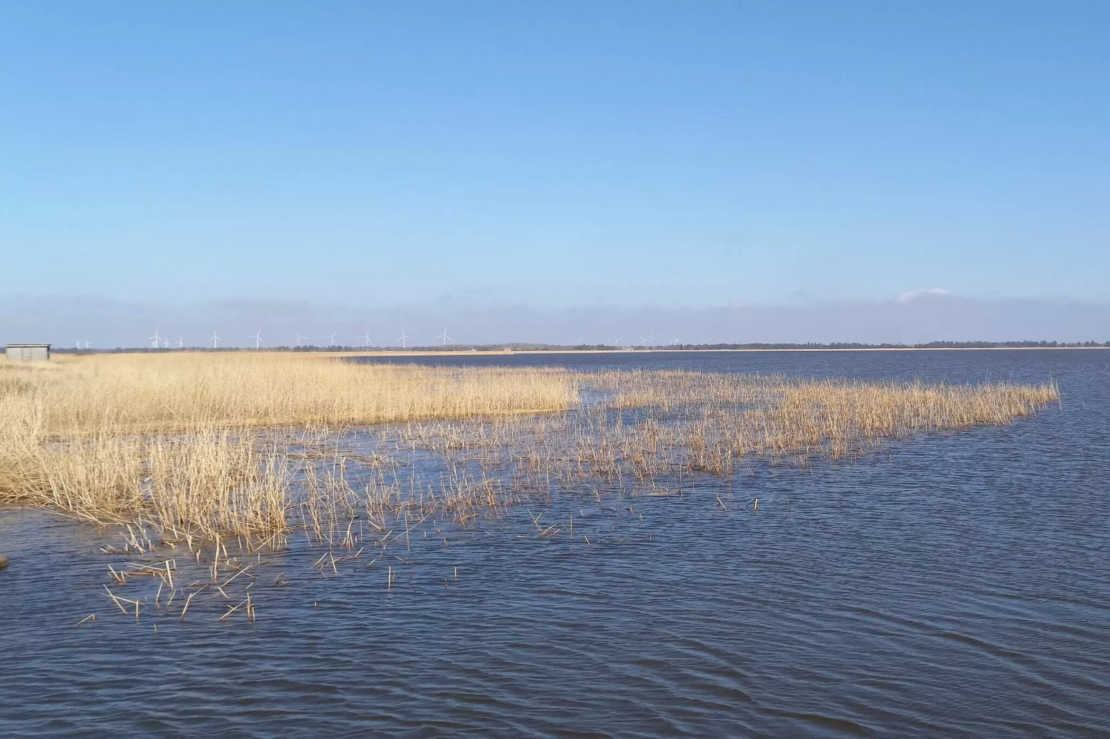 7 person holiday home in Ulfborg-By Traum-Outdoor