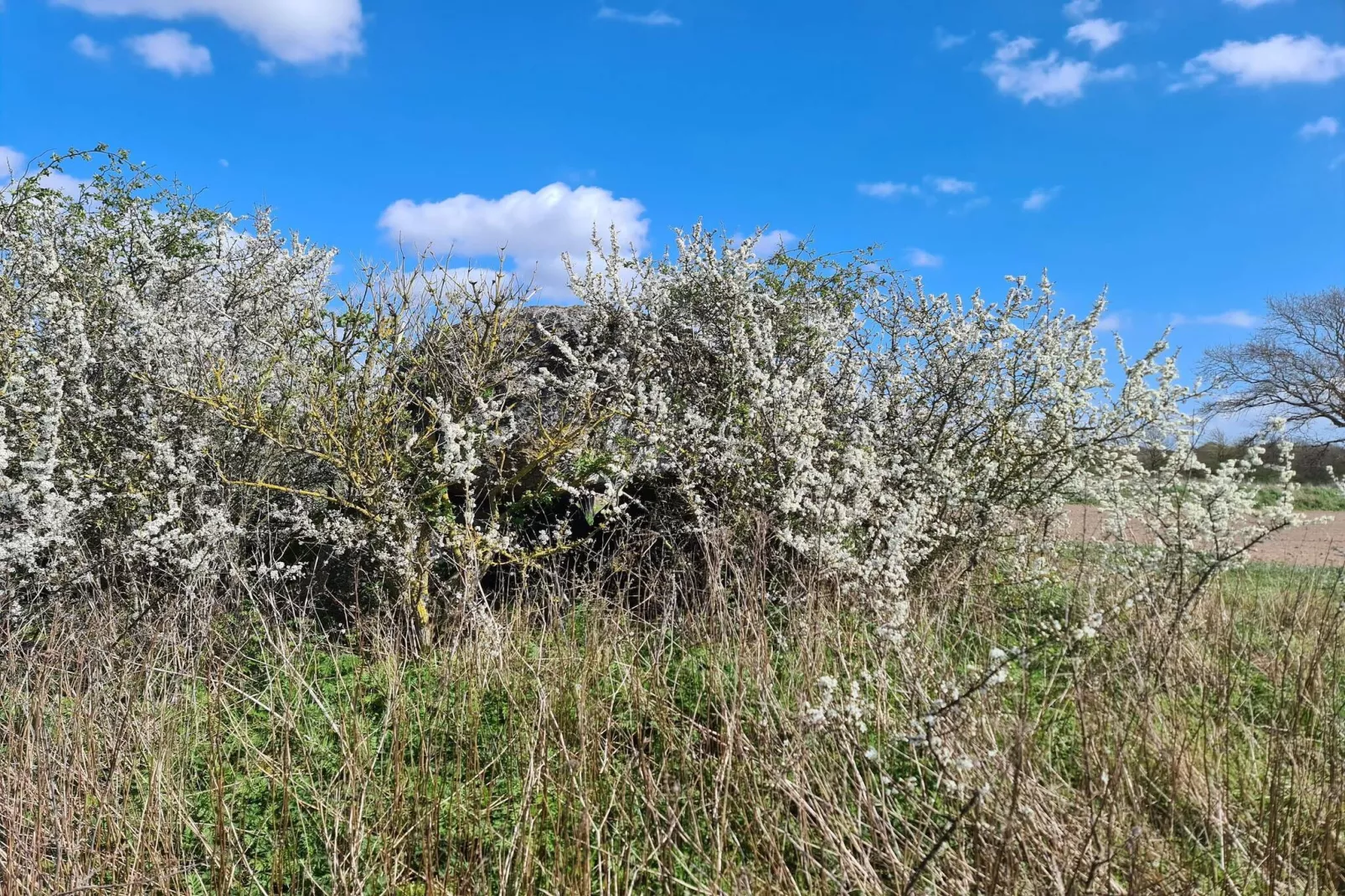 6 person holiday home in Haarby-By Traum-Water view